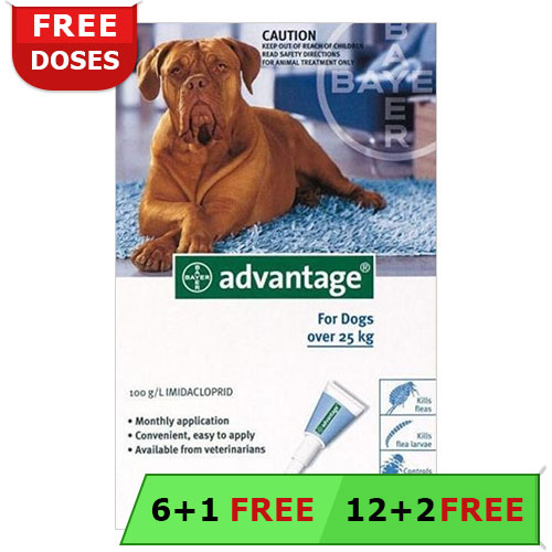 Advantage Extra Large Dogs Over 55 Lbs (Blue) 6 + 1 Free