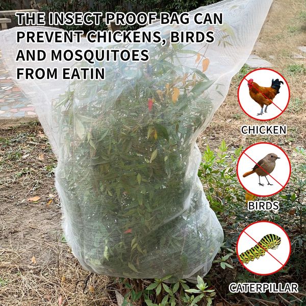 Free freight YEGBONG OEM ODM Plant insect net garden plant cover protection fruit flower insect bird barrier net with drawstring