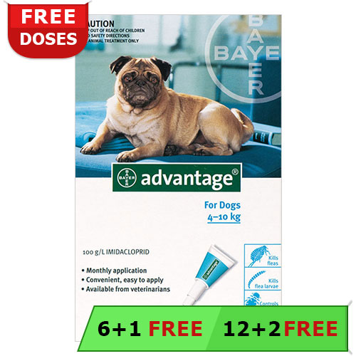 Advantage Medium Dogs 11-20lbs (Aqua) 4 Doses
