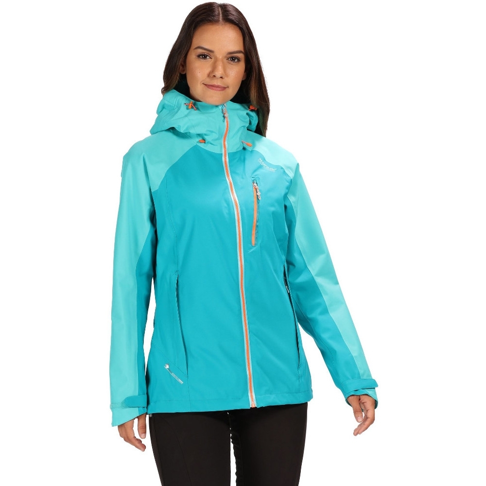 Regatta Womens/Ladies Birchdale Waterproof Durable Hooded Jacket Coat 10 - Bust 34' (86cm)