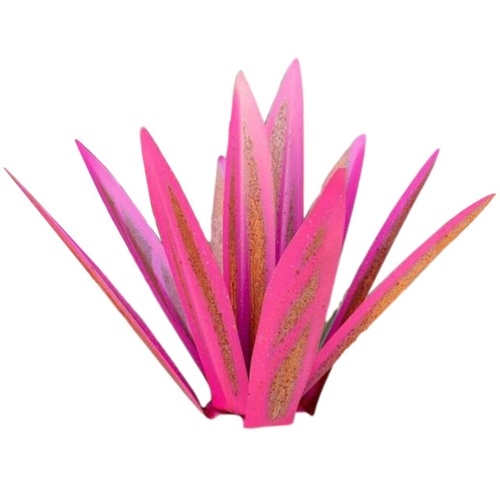 Ornements transfrontaliers de plantes d'agave art nouveau fer rose 35 cm
