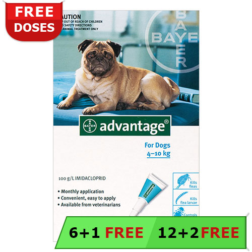 Advantage Medium Dogs 11-20lbs (Aqua) 12 + 2 Free