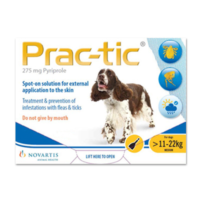Prac-Tic Spot On (Yellow) For