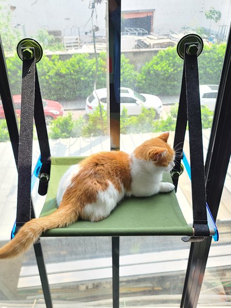 Crates Pet Nest Cat's Hammock Hanging Basket Suntan Artifact Pet's Swing Suction Cup Glass Window