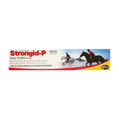 Strongid P Paste 26 Gm 1 Syringe