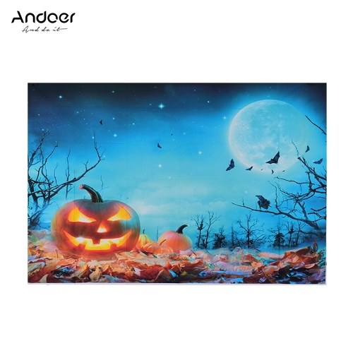 Andoer Halloween Style 1.5 * 2.1meters / 5 * 7feet Pliable Vinyle Photographie Fond Toile Fond
