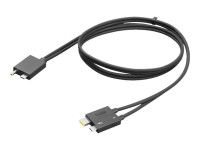 Lenovo Split Cable - Thunderbolt-Kabel - USB-C-/Stromanschluss bis USB-C, Slim Tip